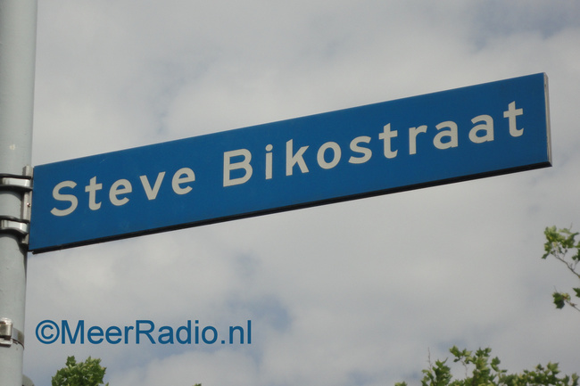 Automobiliste botst tegen boom