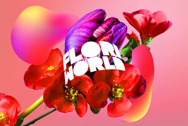 Met speciale bus naar bloemenattractie