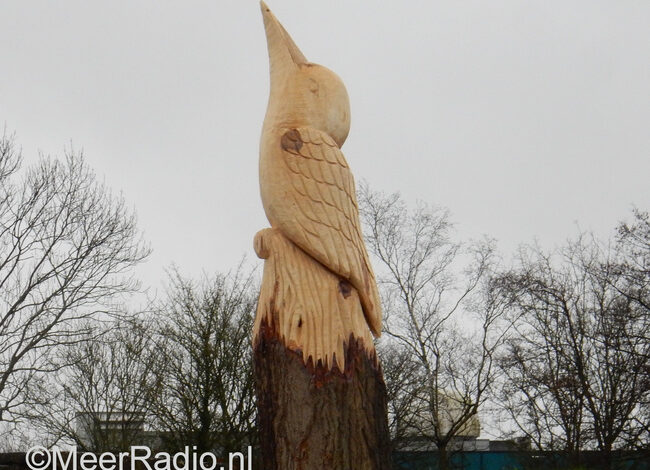 Tweede populier omgetoverd tot ijsvogel