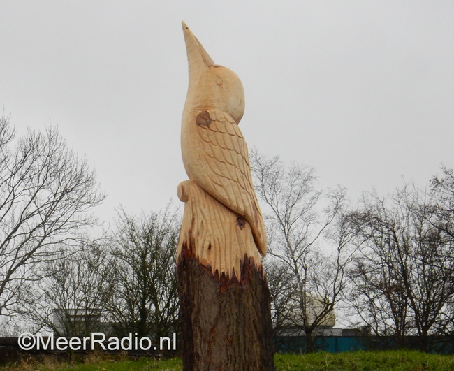 Tweede populier omgetoverd tot ijsvogel
