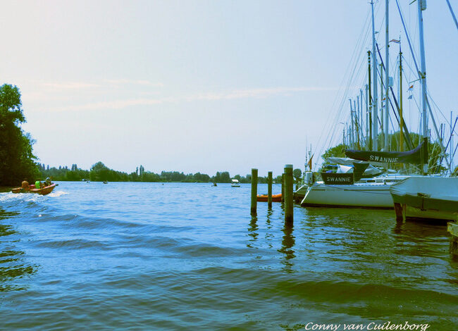 Vis verwondt pootjebadende vrouw