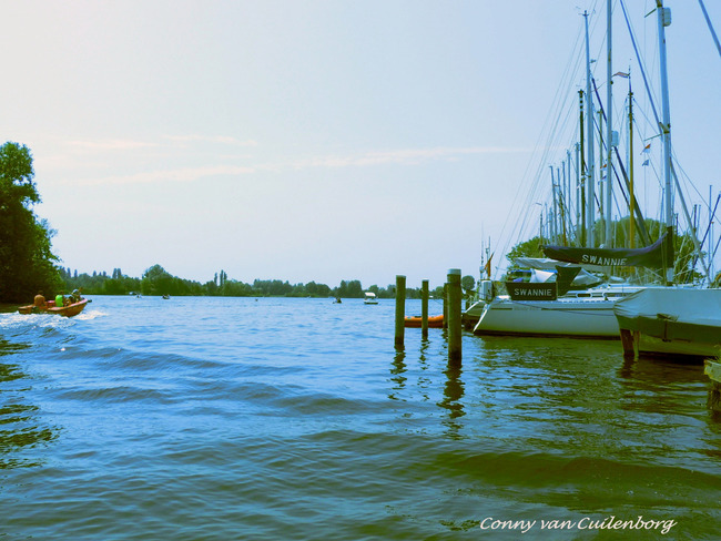 Vis verwondt pootjebadende vrouw