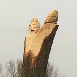 Dode boom in Haarlemmermeerse Bos wordt kunstwerk