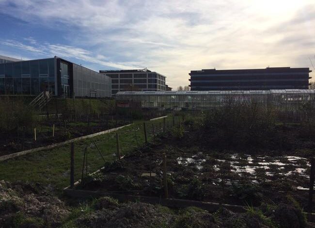 Boomweggeefactie MEERGroen gaat door