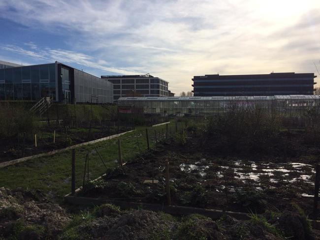 Boomweggeefactie MEERGroen gaat door