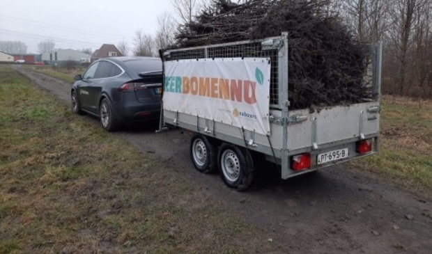 Gratis bomen voor inwoners van Hoofddorp en omgeving