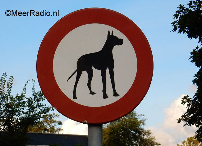Hondenlosloopgebied Nieuw-Vennep verplaatst