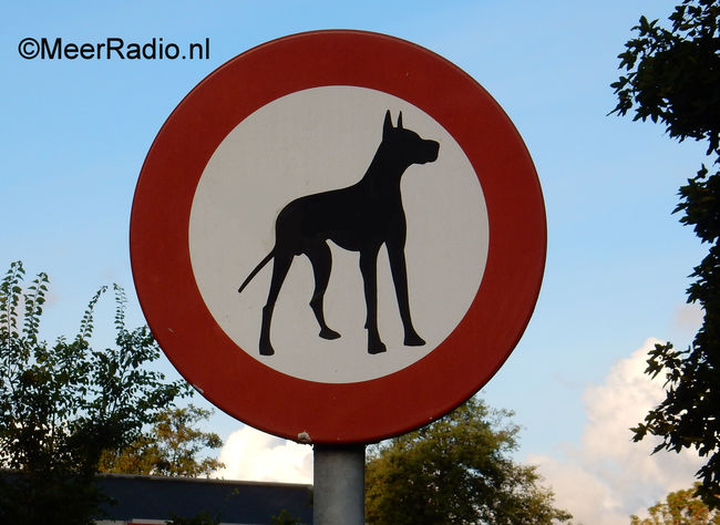 Hondenlosloopgebied Nieuw-Vennep verplaatst