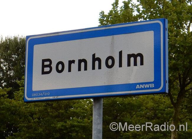 Oranje mos onder bomen in Bornholm