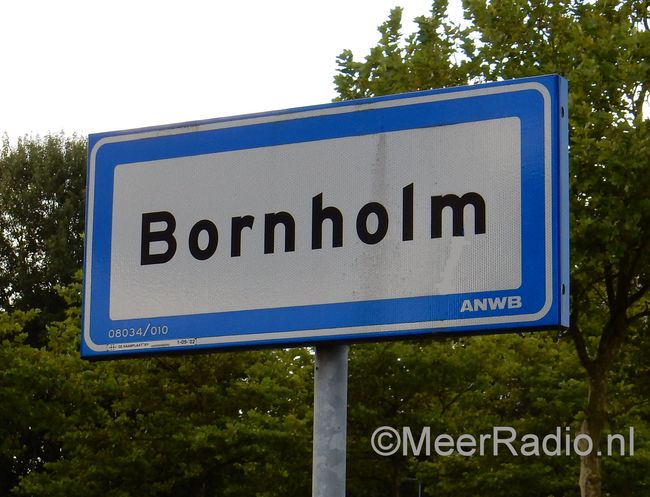 Oranje mos onder bomen in Bornholm