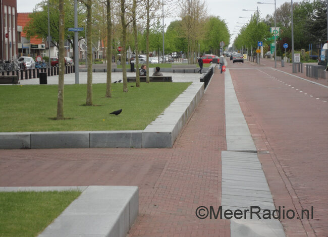 Opeens duizend halsbandparkieten in Nieuw-Vennep