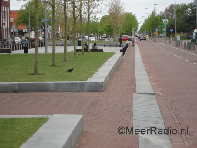 Opeens duizend halsbandparkieten in Nieuw-Vennep