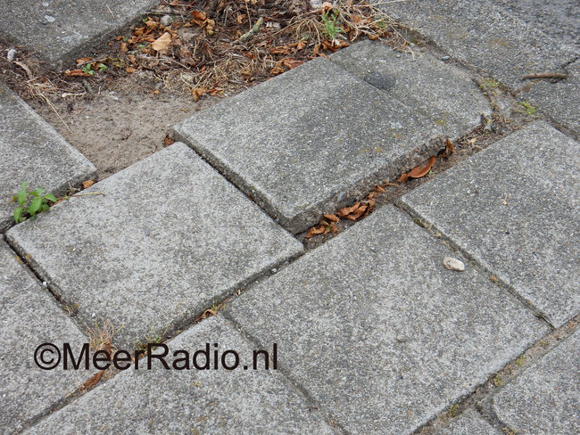 Overlast van boomwortels op fietspaden