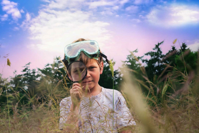 Nazomeren op theaterfestival Grazende Zwaan in Nieuw-Vennep