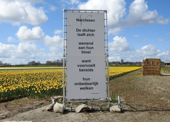 Poëzie aan de Spieringweg