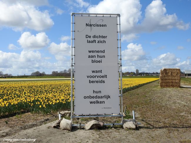 Poëzie aan de Spieringweg