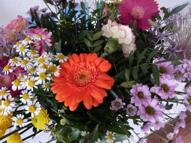 Nostalgisch filmfestival voor Rijsenhouters