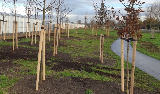 Open dag Fruittuin Rijsenhout