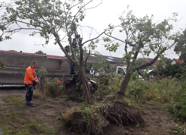 Vergroenen grauw bedrijventerrein