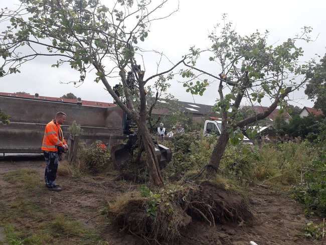Vergroenen grauw bedrijventerrein