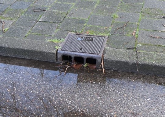 Rotaryclub initiatiefnemer ‘Een schone Ringvaart begint hier’