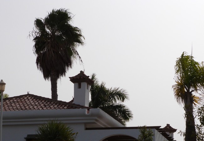 Geslaagde vakantiereis naar Rhodos