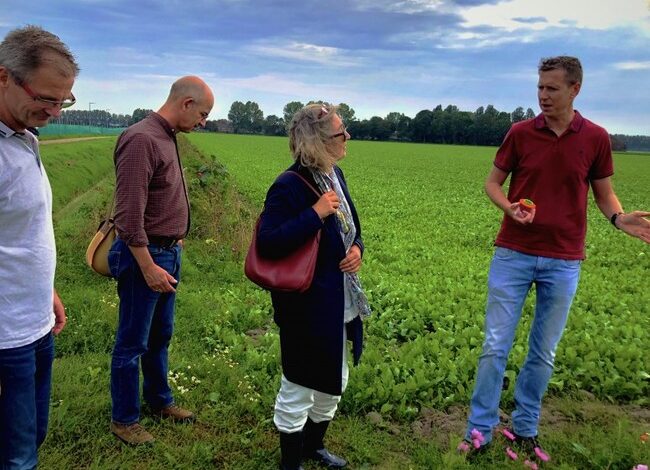 Subsidieaanvraag waterverbetering tijdelijk stopgezet