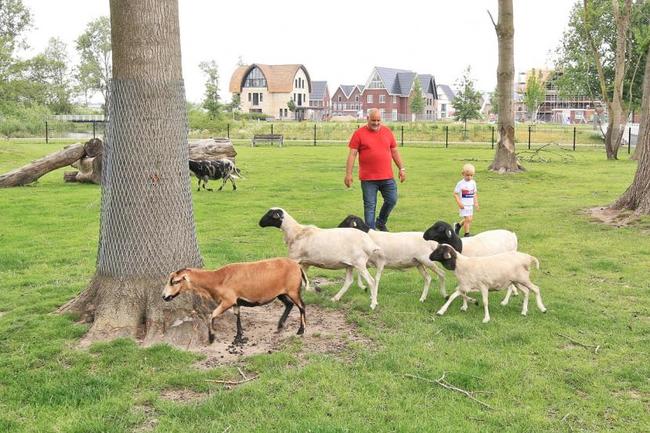 Gemeentelijke eremedaille voor 50-jarige Stichting Dierenvreugd