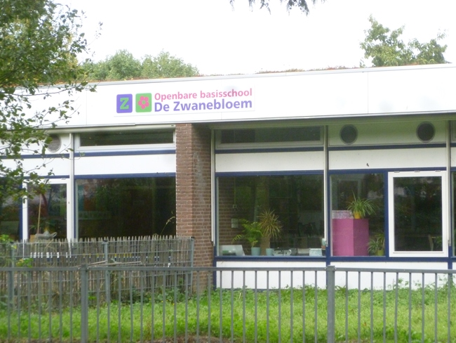 Wethouder plant tulpenbollen in Zwaanshoek