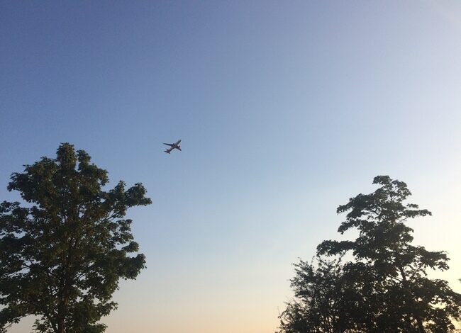 16.000 gratis bomen en struiken voor Middenmeer en Hoofddorp