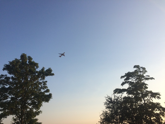16.000 gratis bomen en struiken voor Middenmeer en Hoofddorp