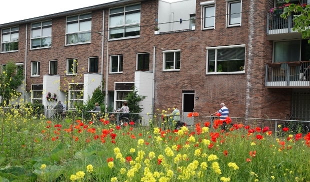 43e Dorpentocht ondanks regen toch een succes