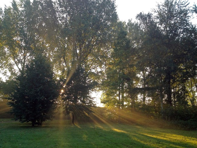 Mindful wandelen met IVN Zuid-Kennemerland