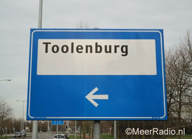 Ganzen vallen aan in Toolenburg