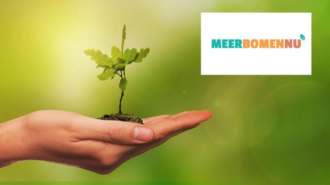 Gratis perenbomen op te halen in Hoofddorp