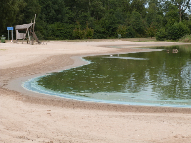 Waarschuwing voor blauwalg Haarlemmermeerse Bos