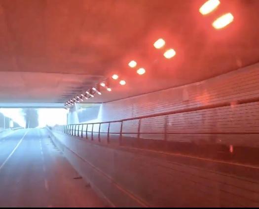 Red Light District voor vleermuizen