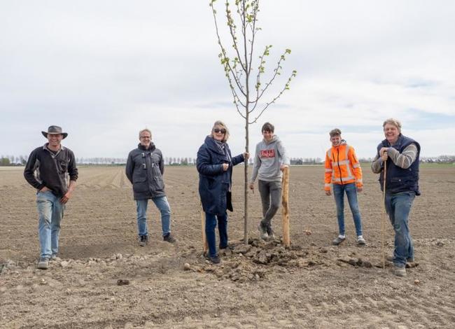 Wethouder plant bomen bij windsingel