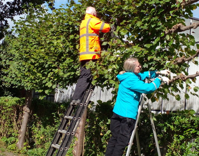 Aan de slag op Natuurwerkdag bij De Heimanshof