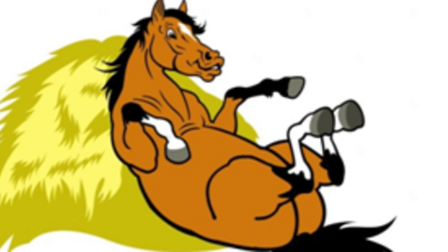 Managepaard met pensioen in paardenrusthuis in Nieuw-Vennep