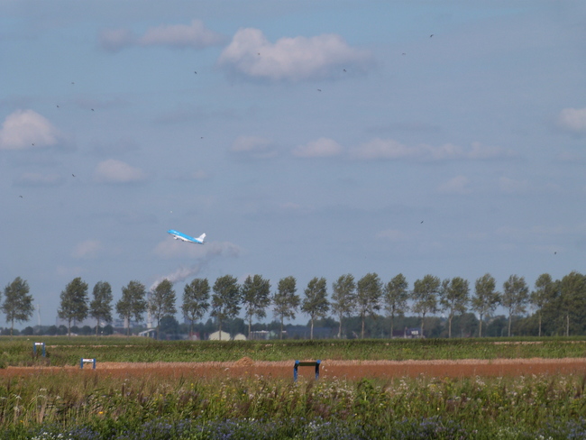 Aandeel Air France-KLM stijgt ruim 8 procent