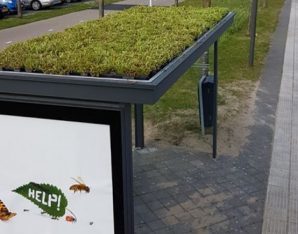 Voorlopig geen bushokjes met groene daken