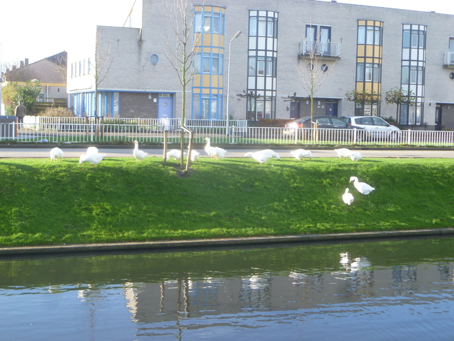 Campagne voor definitief landelijk vuurwerkverbod