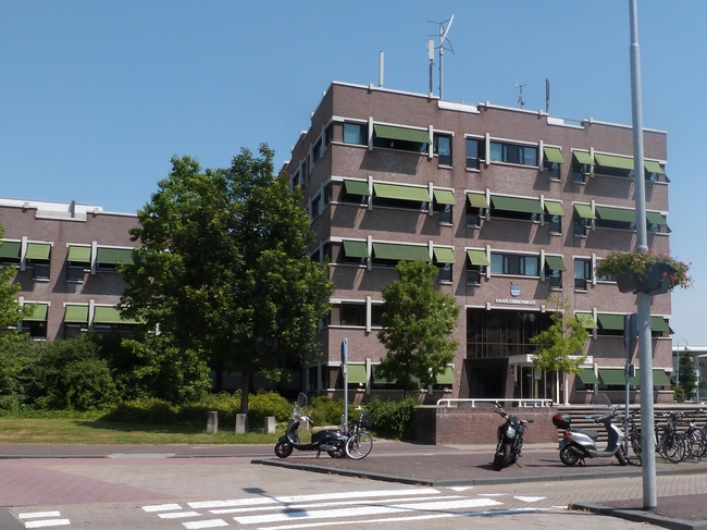 Koeien Haarlemmermeer weer naar buiten