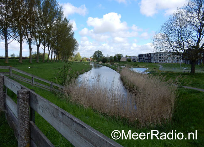 Kritiek op bomenkap Geniedijk