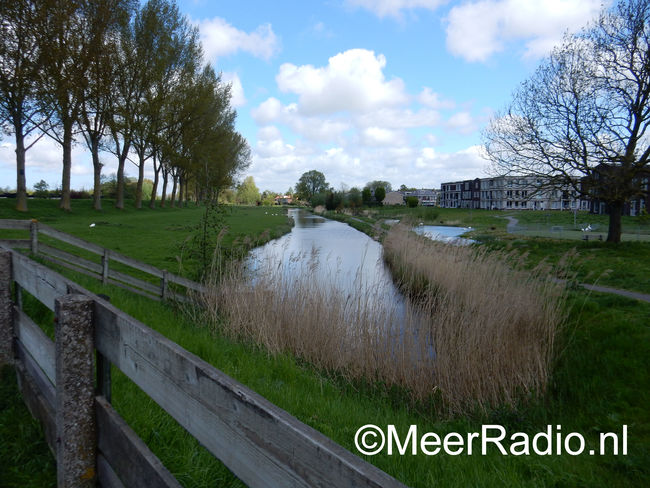 Kritiek op bomenkap Geniedijk