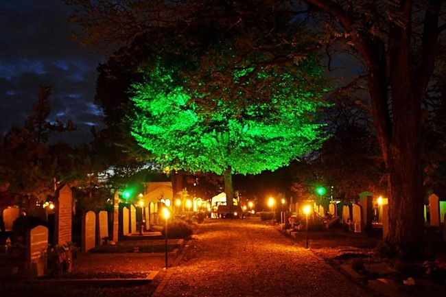 Lichtjesavond De Iepenhof