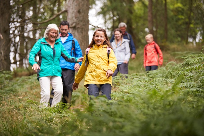 Haarlemmermeer ontdekken op Groene Wandeltocht