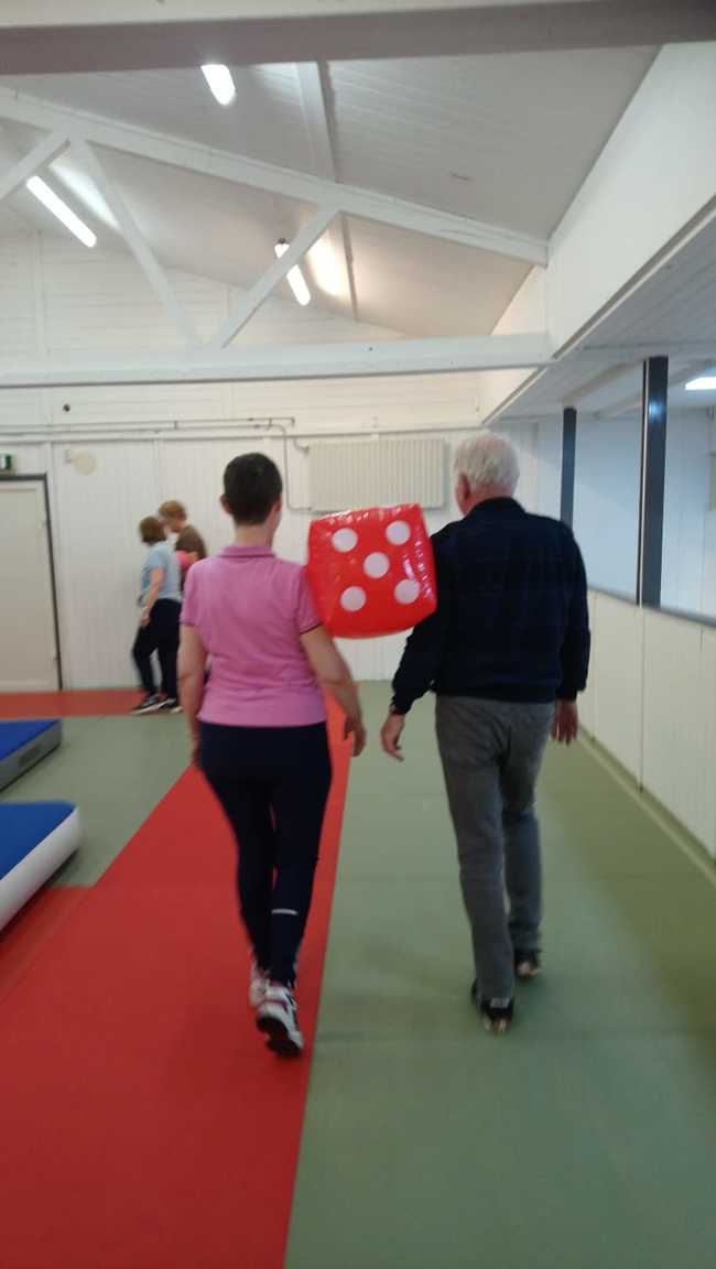 60-plussers werken aan valpreventie met Dobbelfitspel