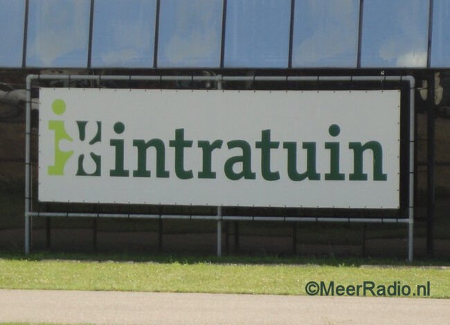 Auto te water nabij Cruquius Plaza